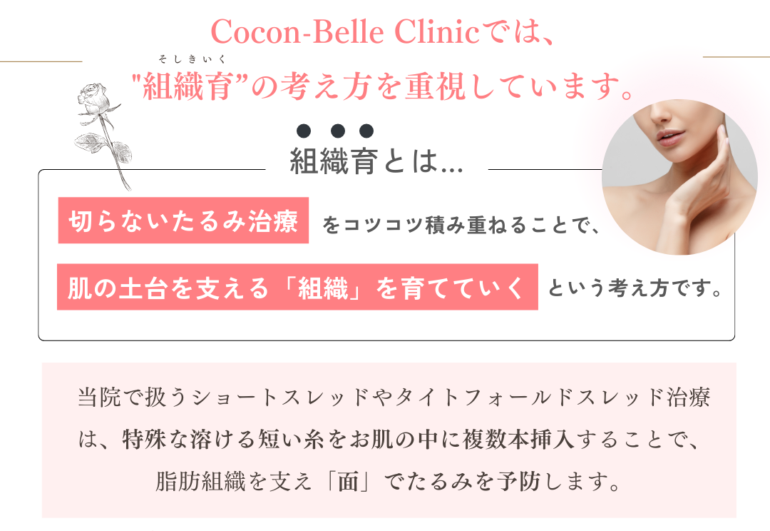 ココンベルの組織育